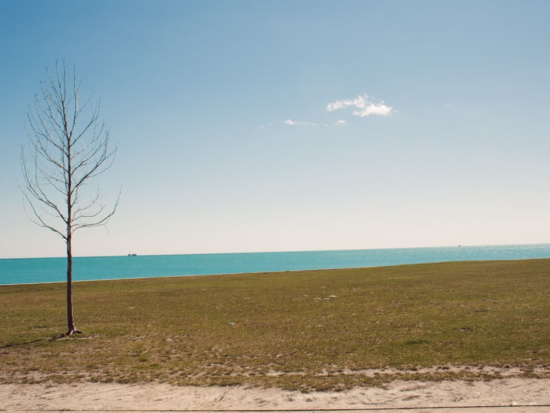 INVERNO EM ILLINOIS