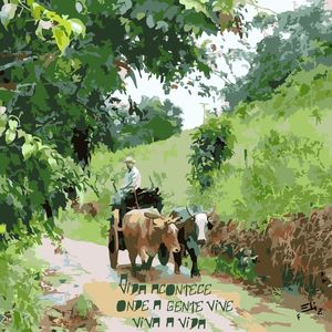 A VIDA ACONTECE ONDE A GENTE VIVE