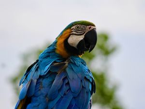 LA NINA 4 - JALAPAO-BR