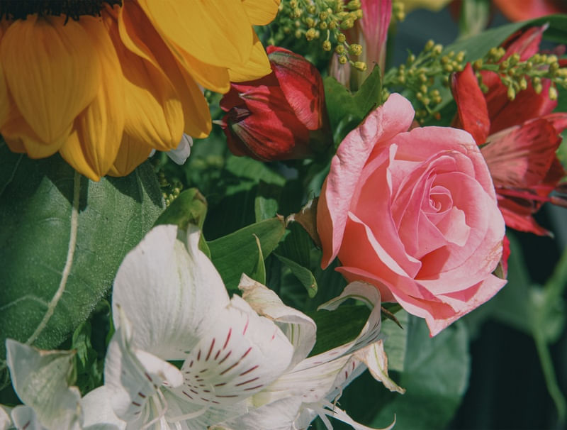 FLOWERS FOR HER