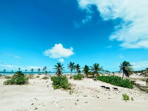 JUST CHILL - NORDESTE BR