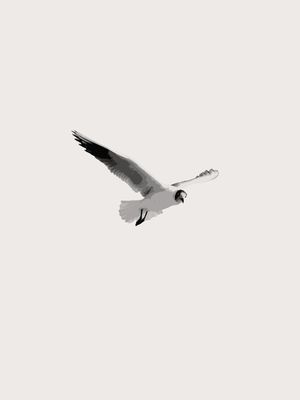 PÁSSARO BRANCO MINIMALISTA
