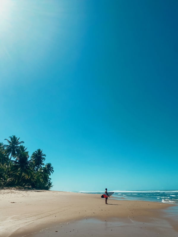 GO SURF - BAHIA-BR