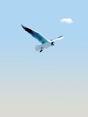 PÁSSARO MINIMALISTA AZUL
