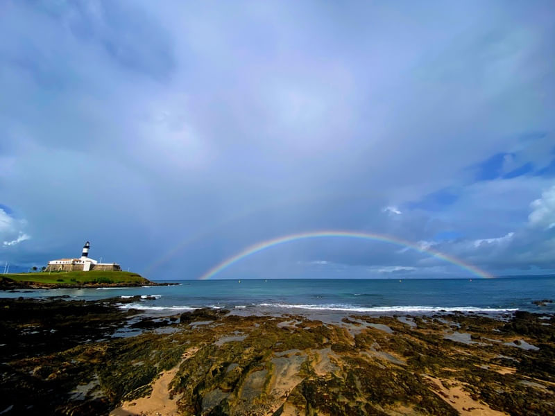 THE RAINBOW - RJ BR