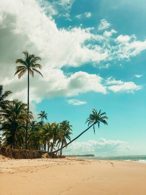 SÓ NA BAHIA - BR