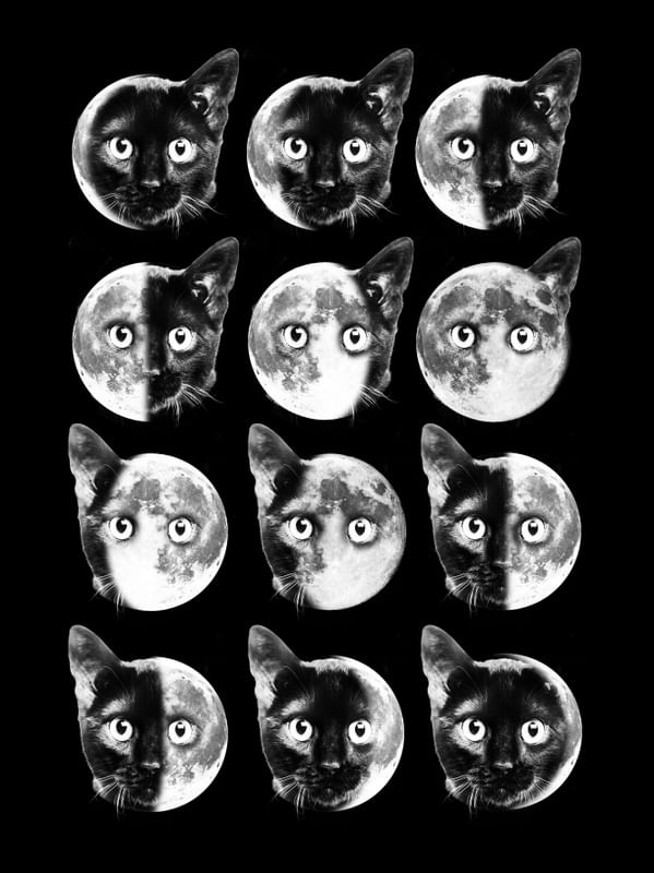 LUA DE GATO