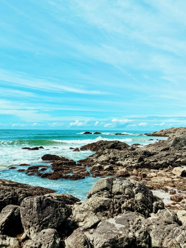 PARADISE - BR