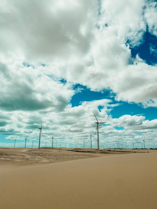 WIND PARADISE - NORDESTE BR