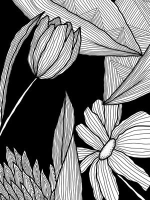 FLORES EM FUNDO PRETO