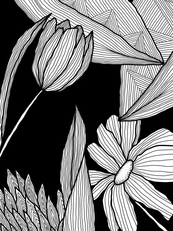FLORES EM FUNDO PRETO