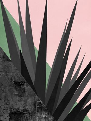 TROPICAL E GEOMÉTRICO A2