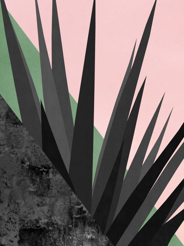TROPICAL E GEOMÉTRICO A2
