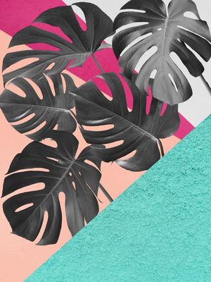 TROPICAL E GEOMÉTRICO A3