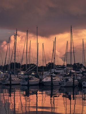 ST PETE PIER