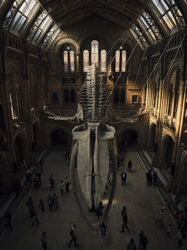 SAGUÃO DO MUSEU DE HISTÓRIA NATURAL DE LONDRES