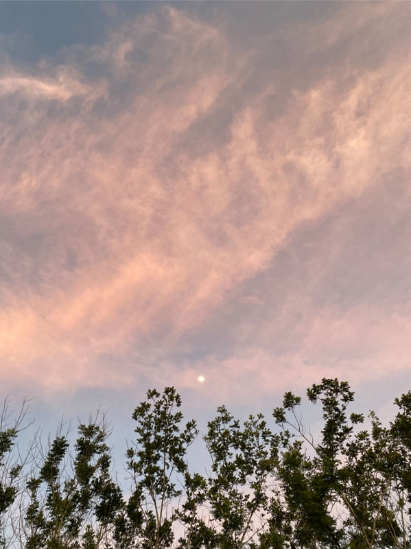 NUVENS ALGODÃO ROSA
