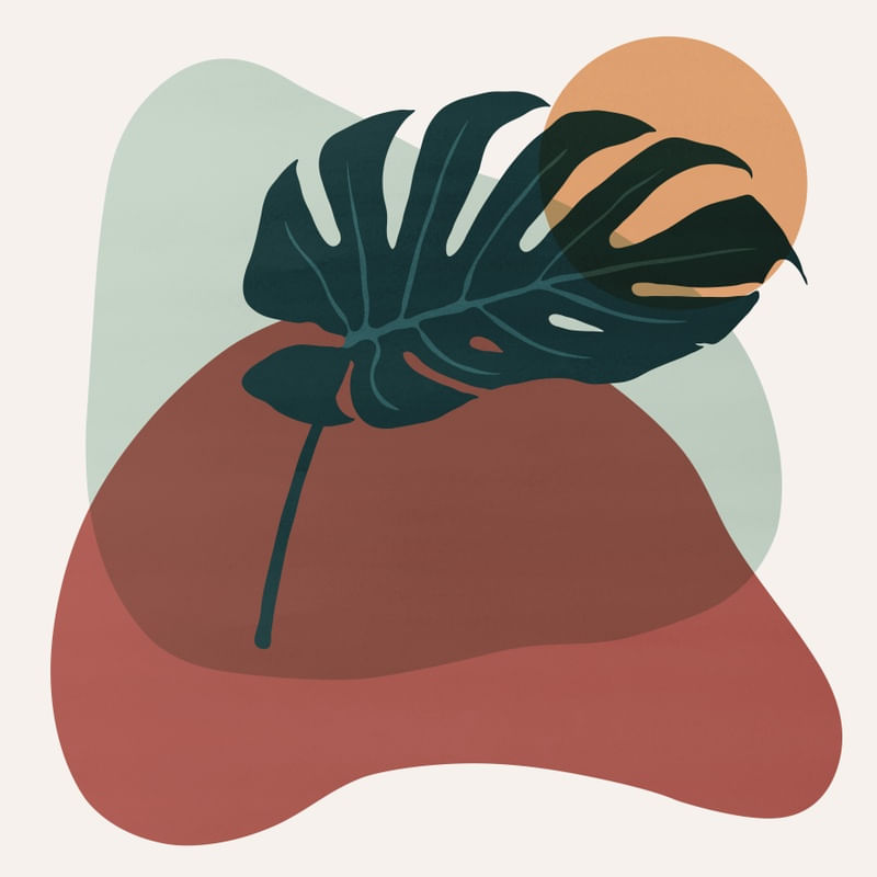 ORGANIC NATURE 06