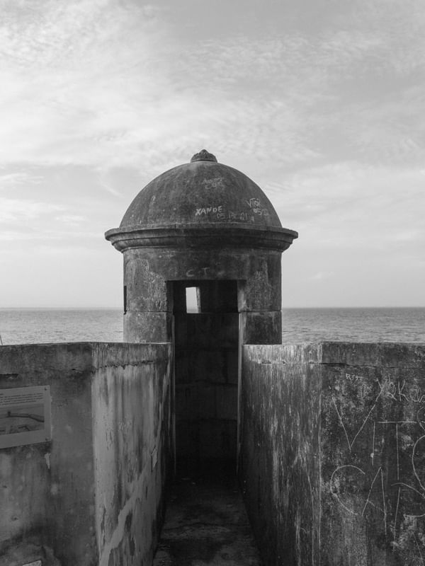 FAROL - RAIZ TANAKA