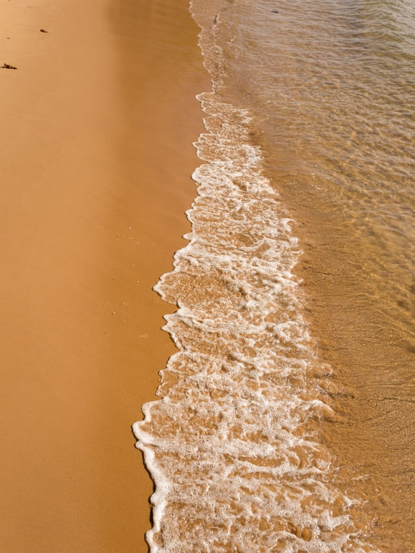AREIA - RAIZ TANAKA