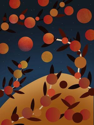 LARANJAS E NOITE 004