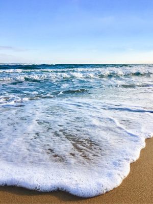 PRAIARIA