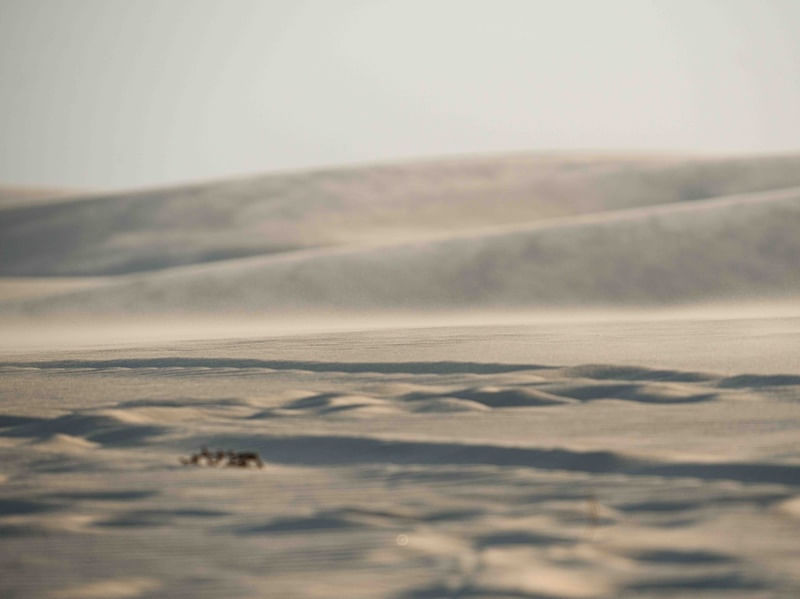 VENTO NA AREIA