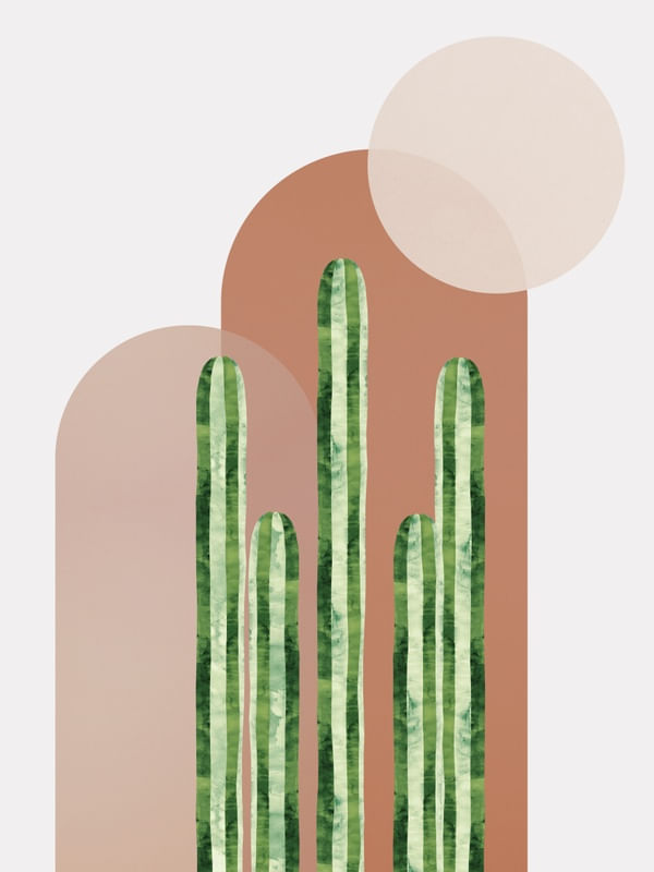 CACTI LANDSCAPE 04
