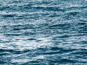 BLUISH WAVES