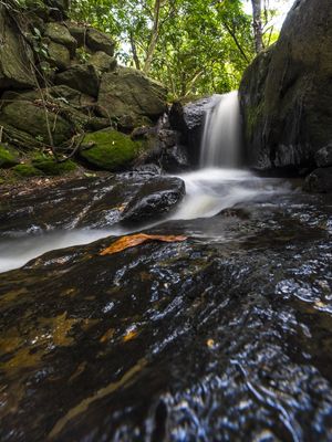 CASCATA NA FLORESTA