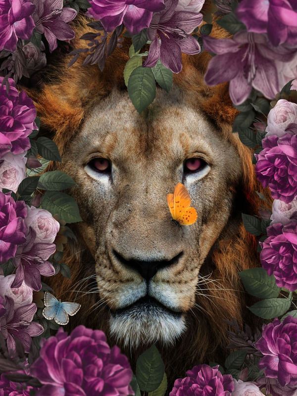 LEAO E FLORES