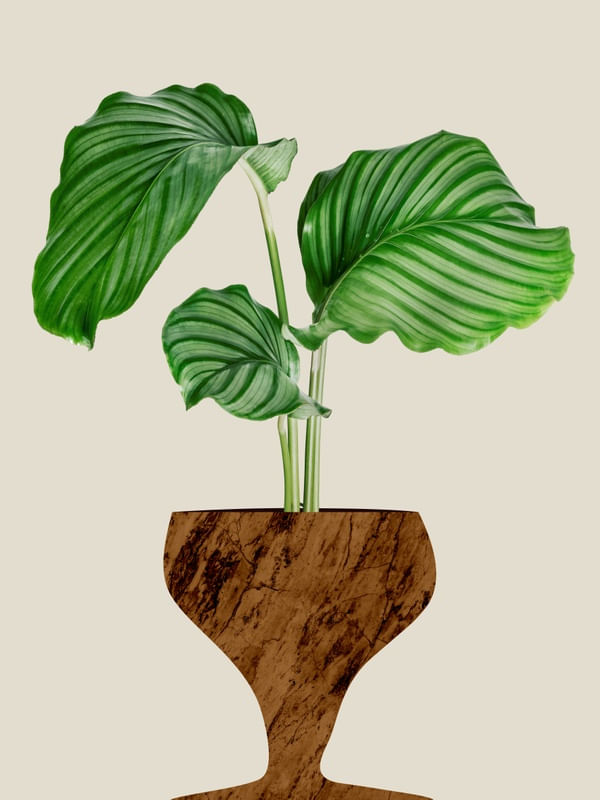 QUADRO DECORATIVO COLORIDO BEGE VERDE - TROPICAL FLORAL BOTÂNICO - 167A