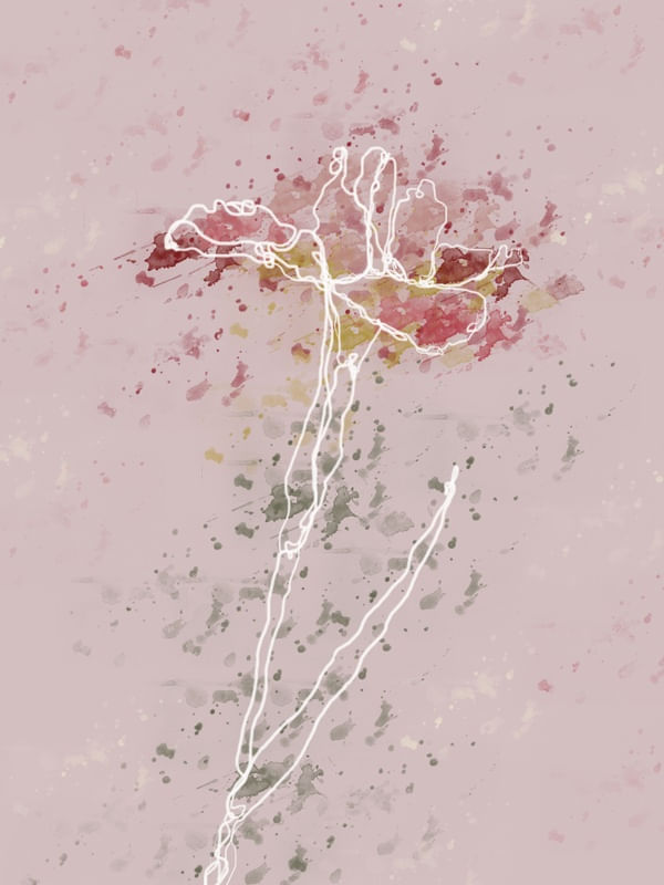 AB FLOWER
