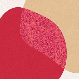 ARTE CONTORNOS MINIMALISTAS SÉRIE CORES TONS ROSA E BEGE OP 35