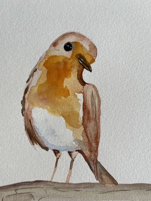 TRC BIRD