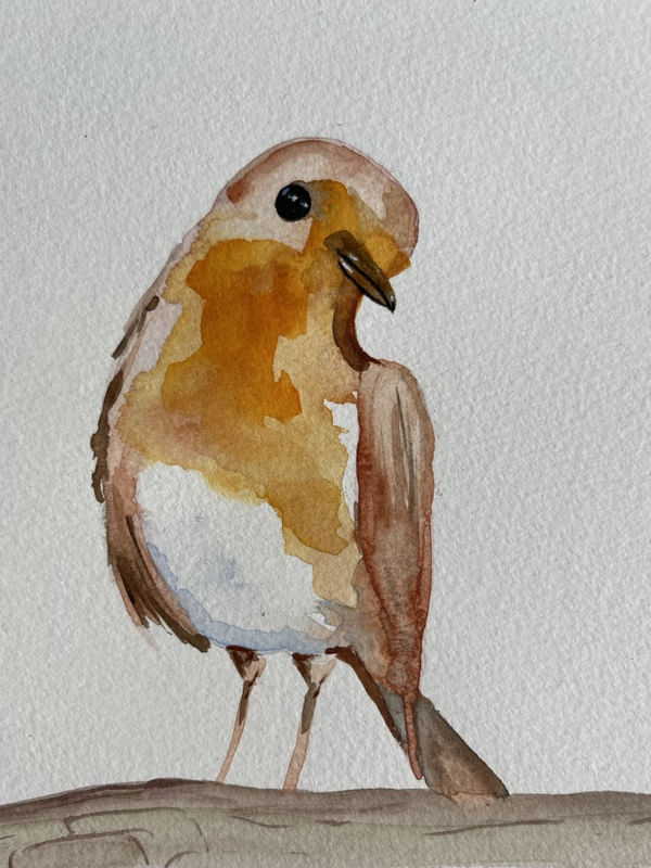TRC BIRD