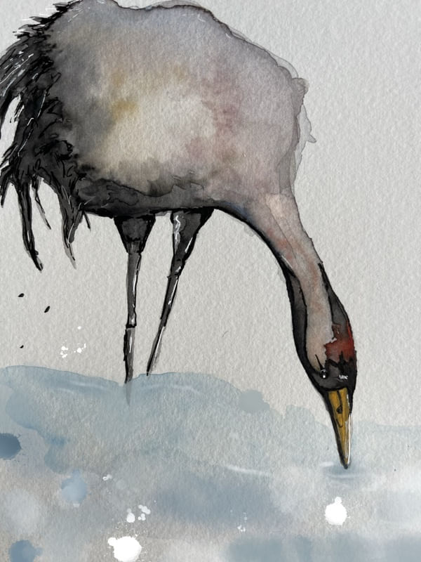 TRC AQUARELA