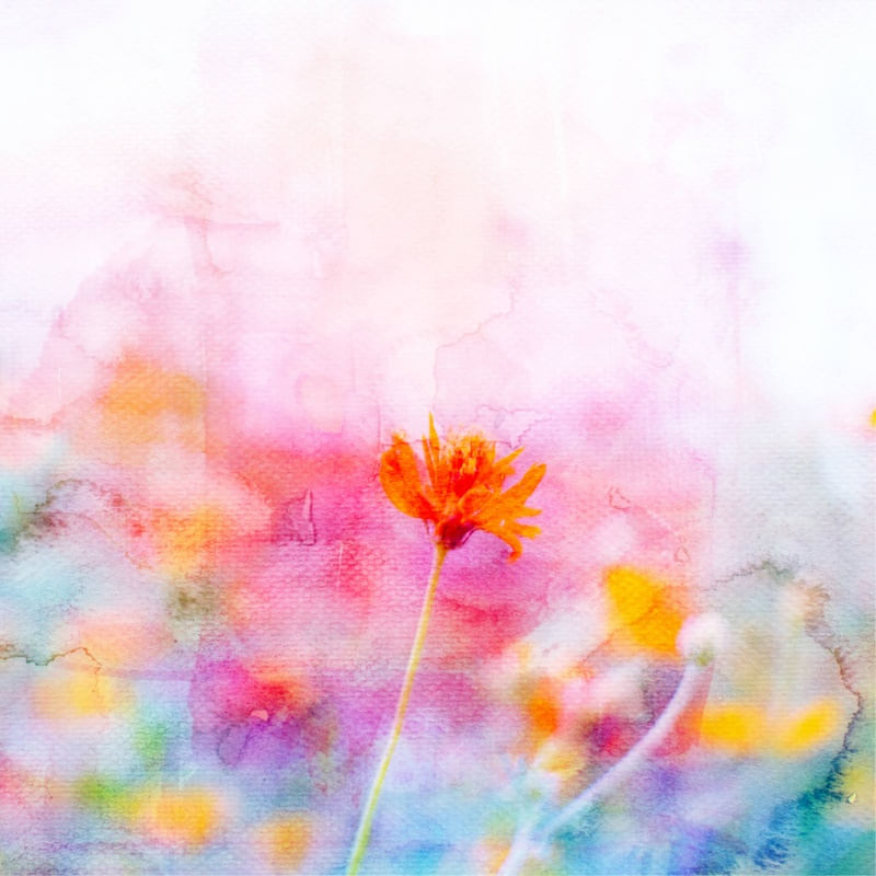 AQUARELANDO