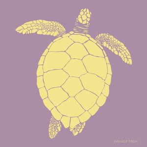SUMMER TURTLE V