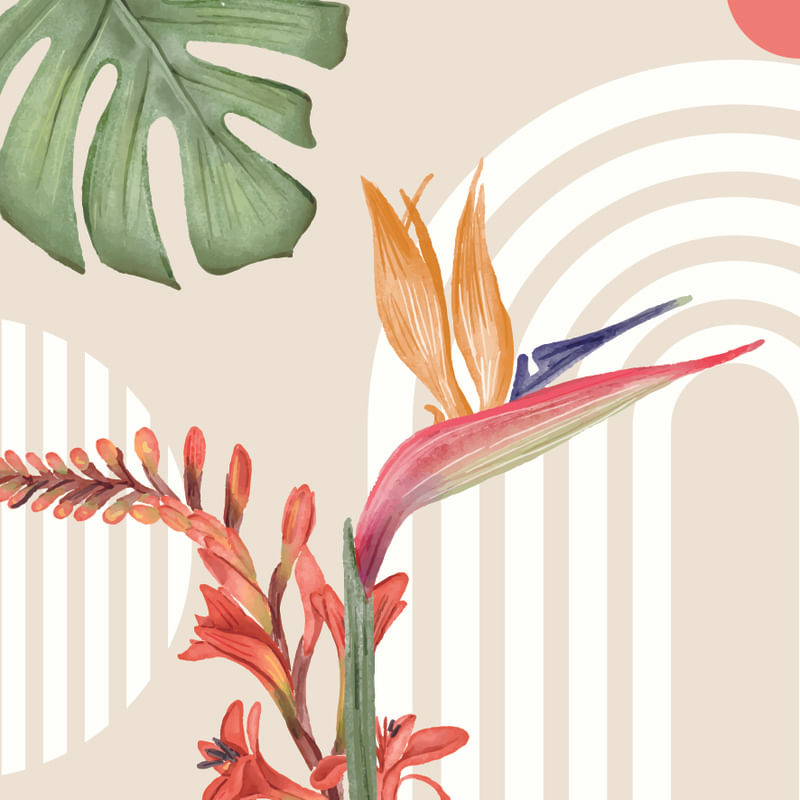 BOHO ARTE BOTÂNICA FLORAL