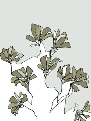 AFFINITY 3 SALVA VERDE BRANCO - FLORAIS SKETCH MINIMALISTA NEUTRO FLORES ILUSTRAÇÃO