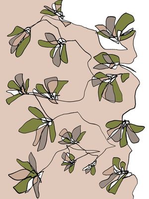 AFFINITY 2 TAN TAUPE VERDE - FLORAIS SKETCH MINIMALISTA NEUTRO FLORES ILUSTRAÇÃO