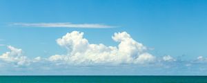DOG CLOUD