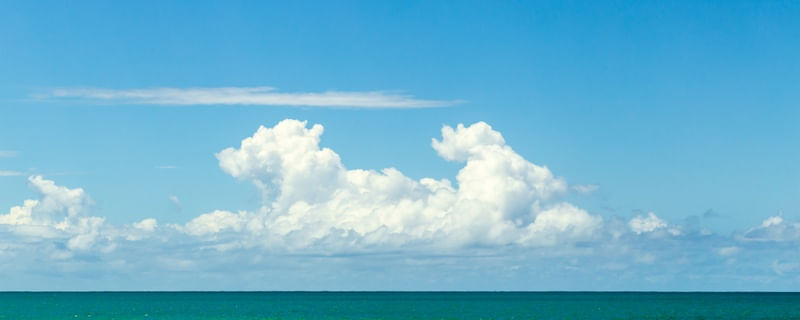 DOG CLOUD