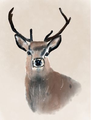CERVO AQUARELA
