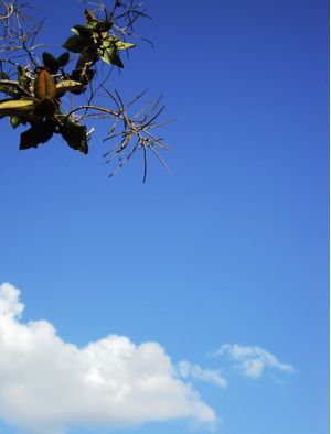 AZUL ENTRE NÓS