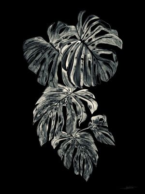 A01-BOTANIC NIGHT I