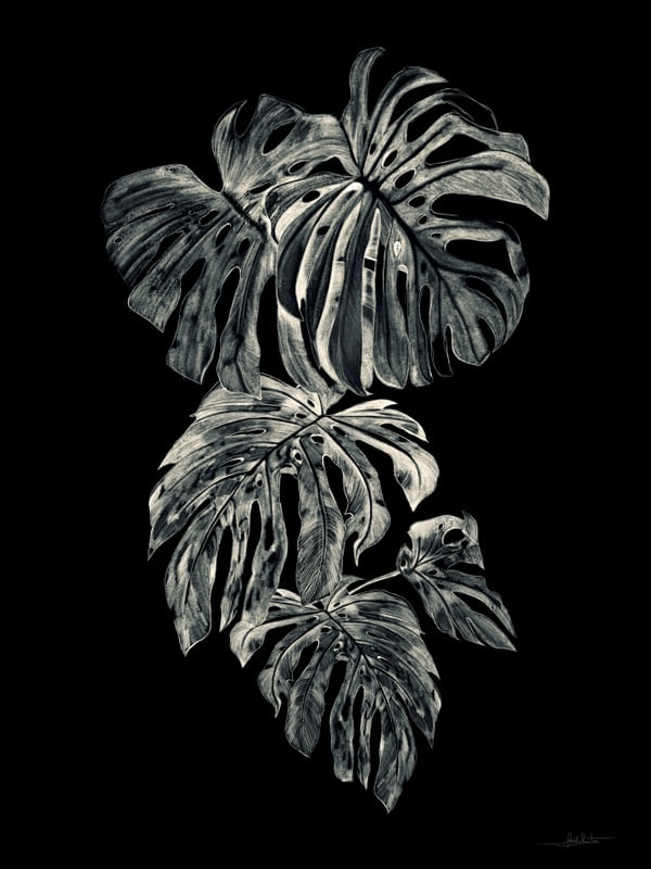 A01-BOTANIC NIGHT I
