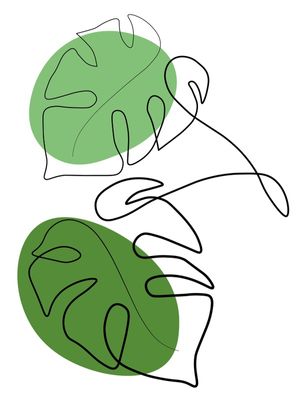 MONSTERA-001
