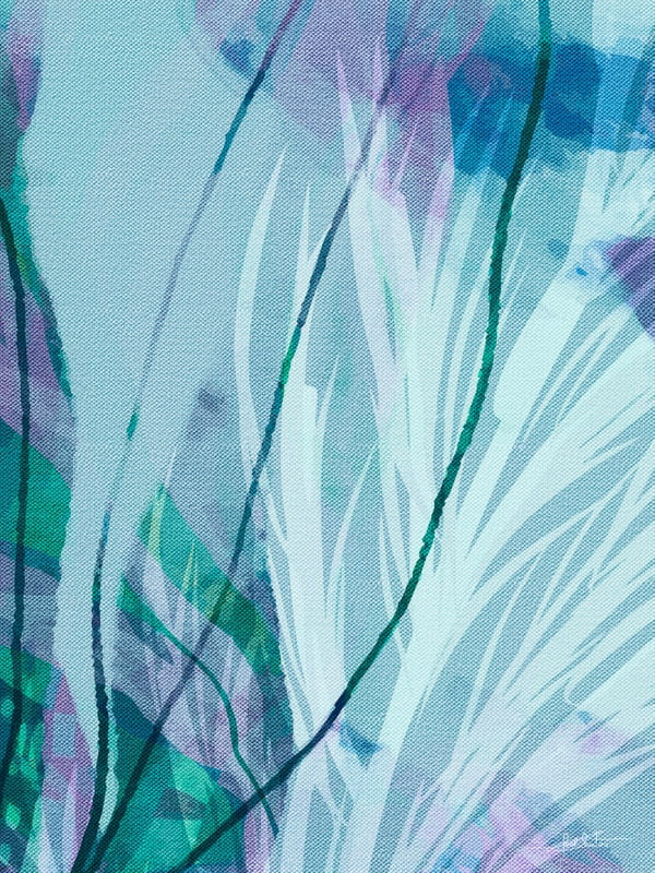 A12-LILAC REFLEXUS I